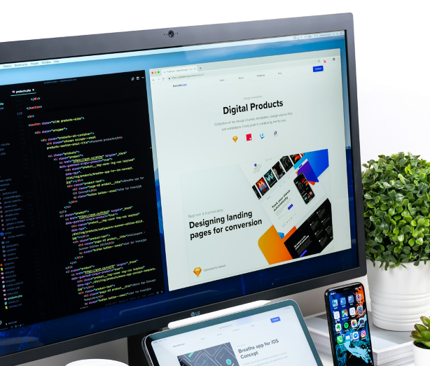 Web Development